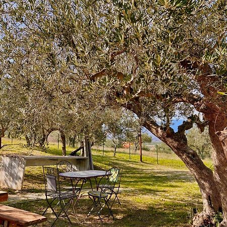 Oasi Macerina Villa Alanno Luaran gambar