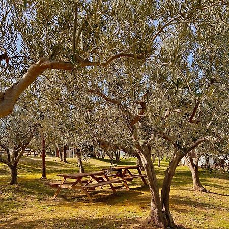Oasi Macerina Villa Alanno Luaran gambar