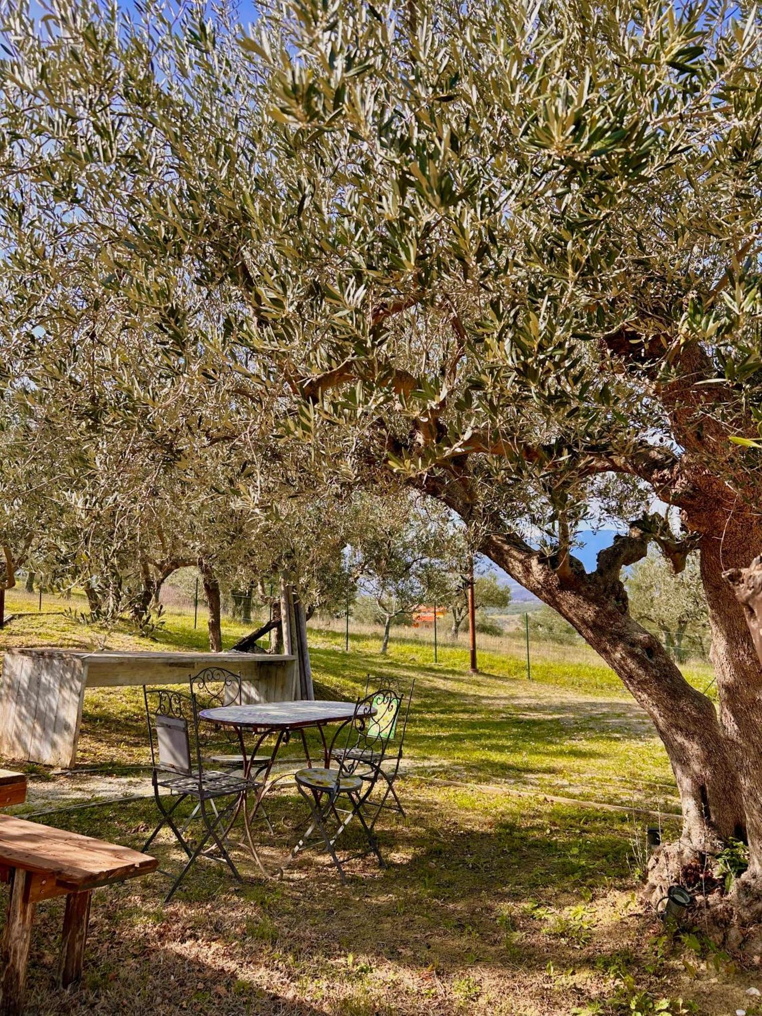 Oasi Macerina Villa Alanno Luaran gambar