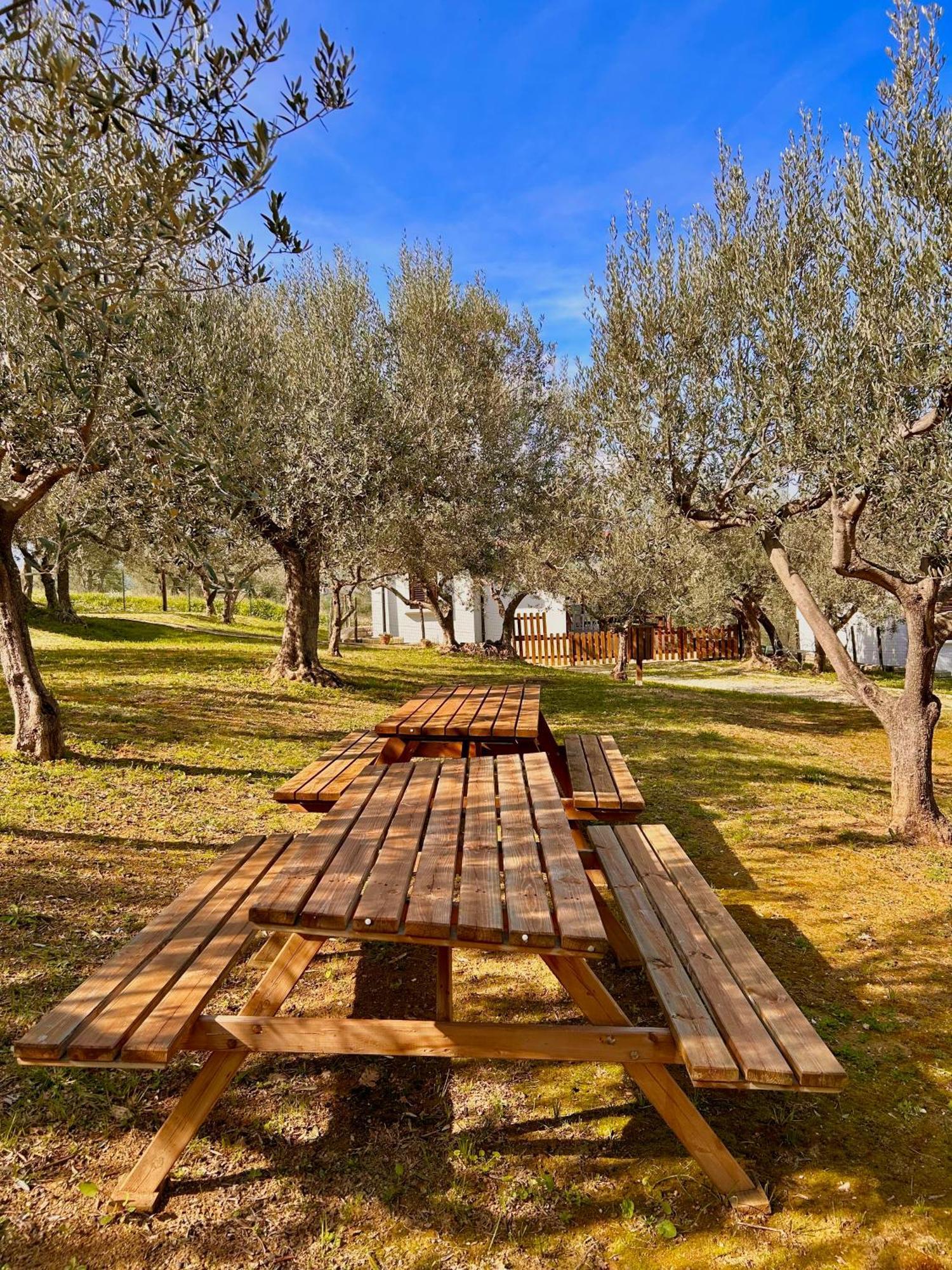 Oasi Macerina Villa Alanno Luaran gambar