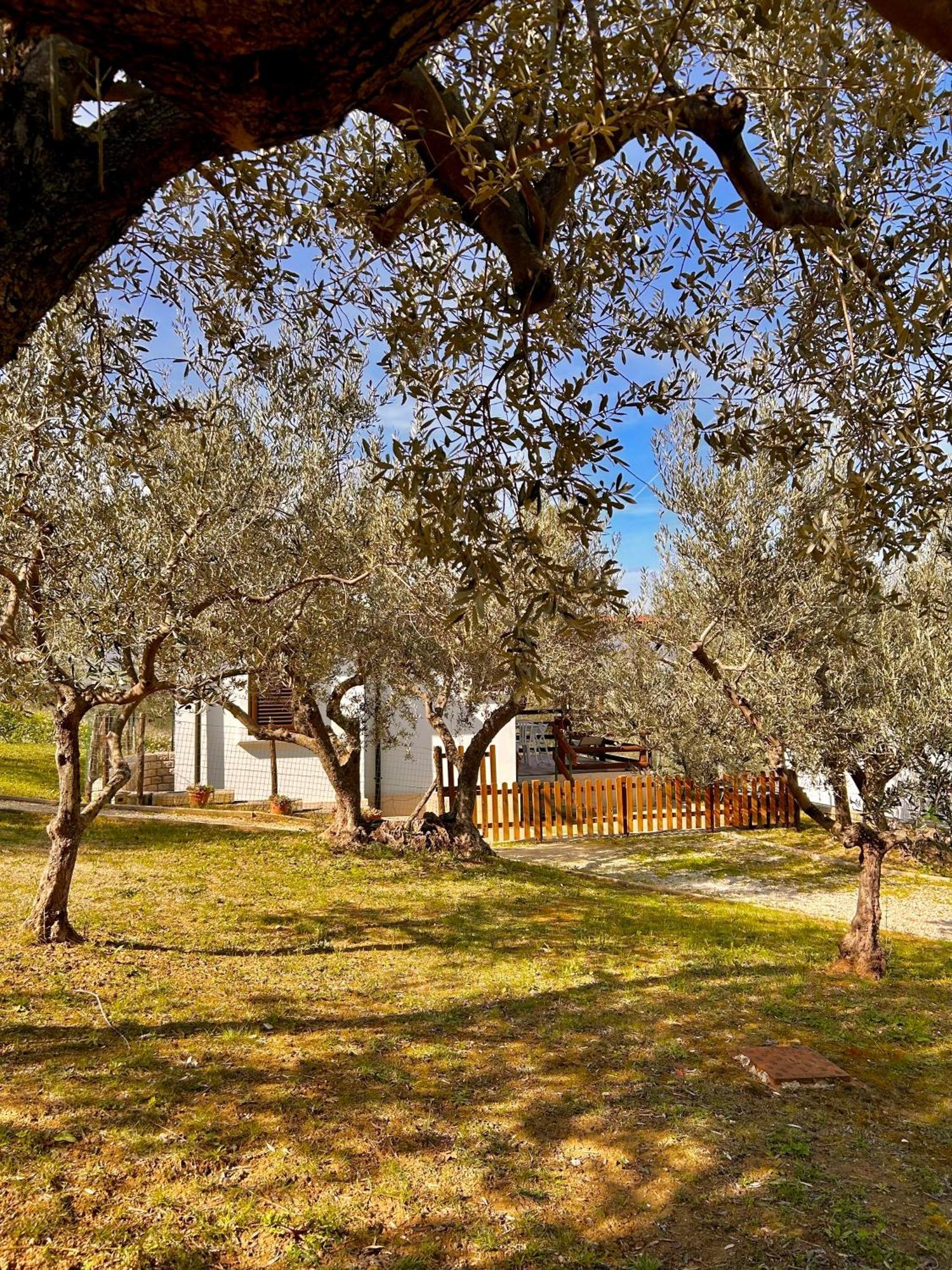 Oasi Macerina Villa Alanno Luaran gambar