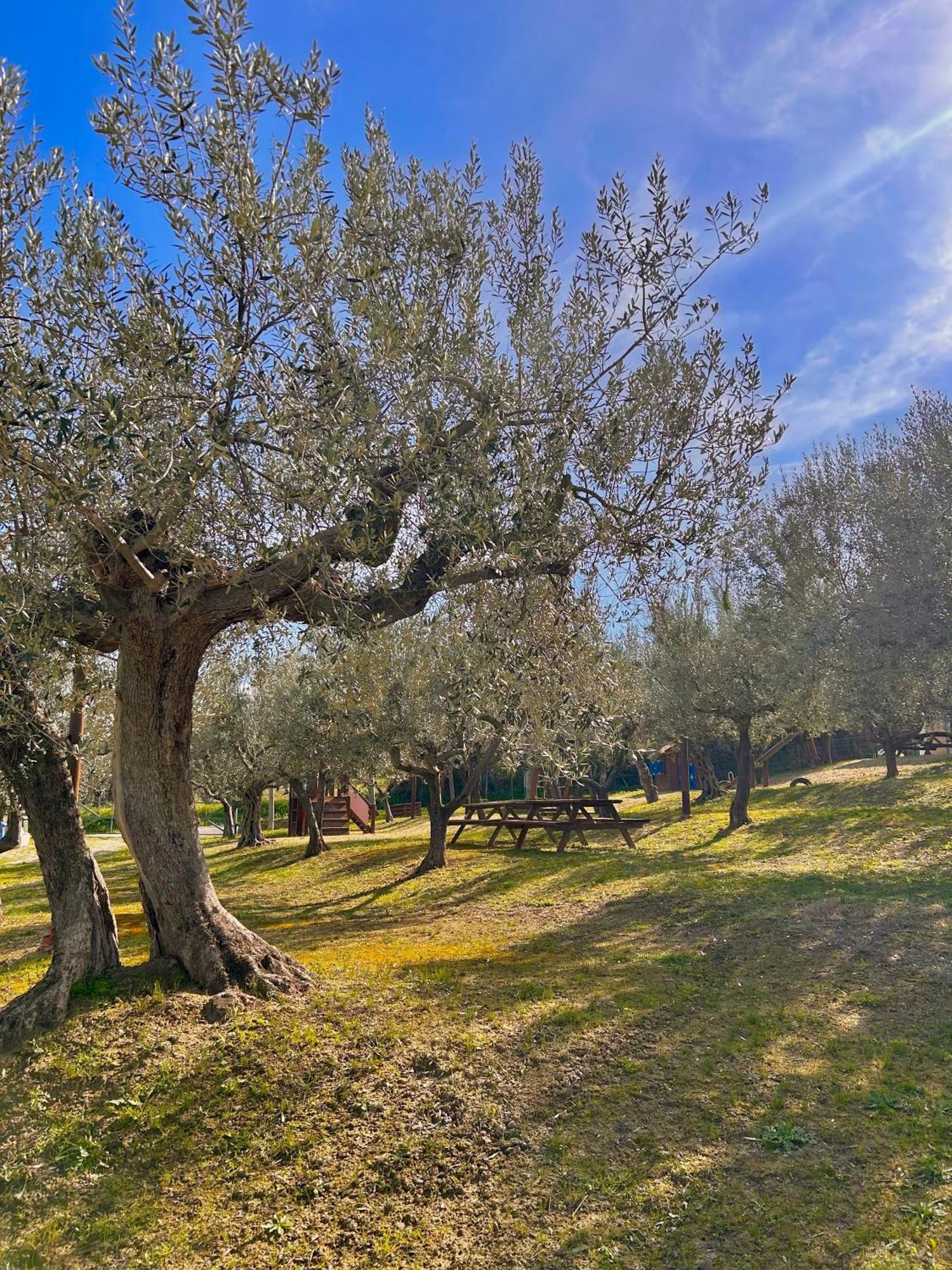Oasi Macerina Villa Alanno Luaran gambar