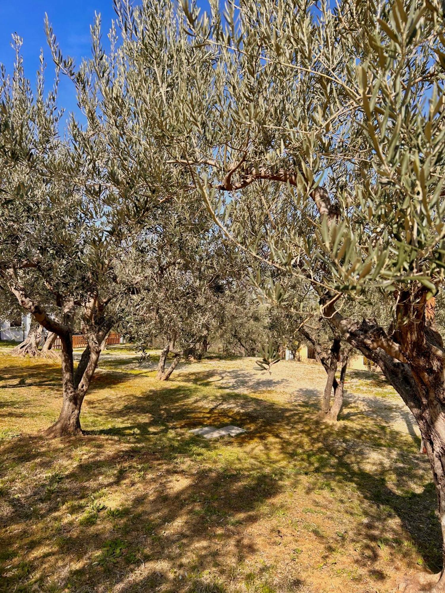 Oasi Macerina Villa Alanno Luaran gambar