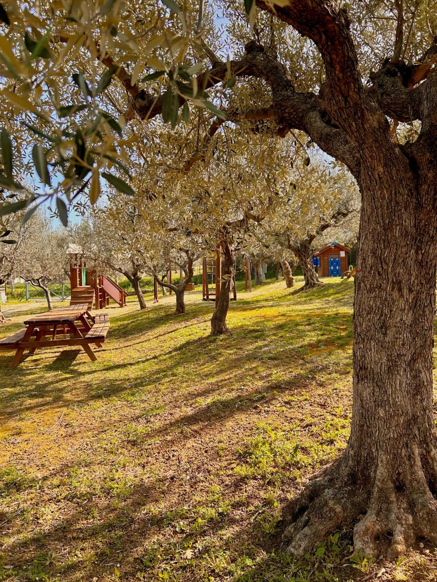 Oasi Macerina Villa Alanno Luaran gambar