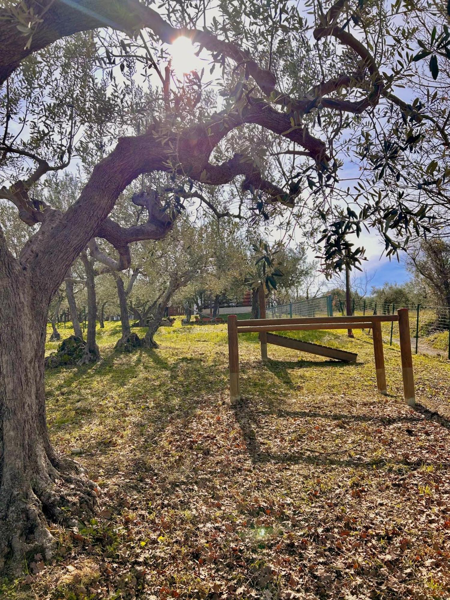 Oasi Macerina Villa Alanno Luaran gambar