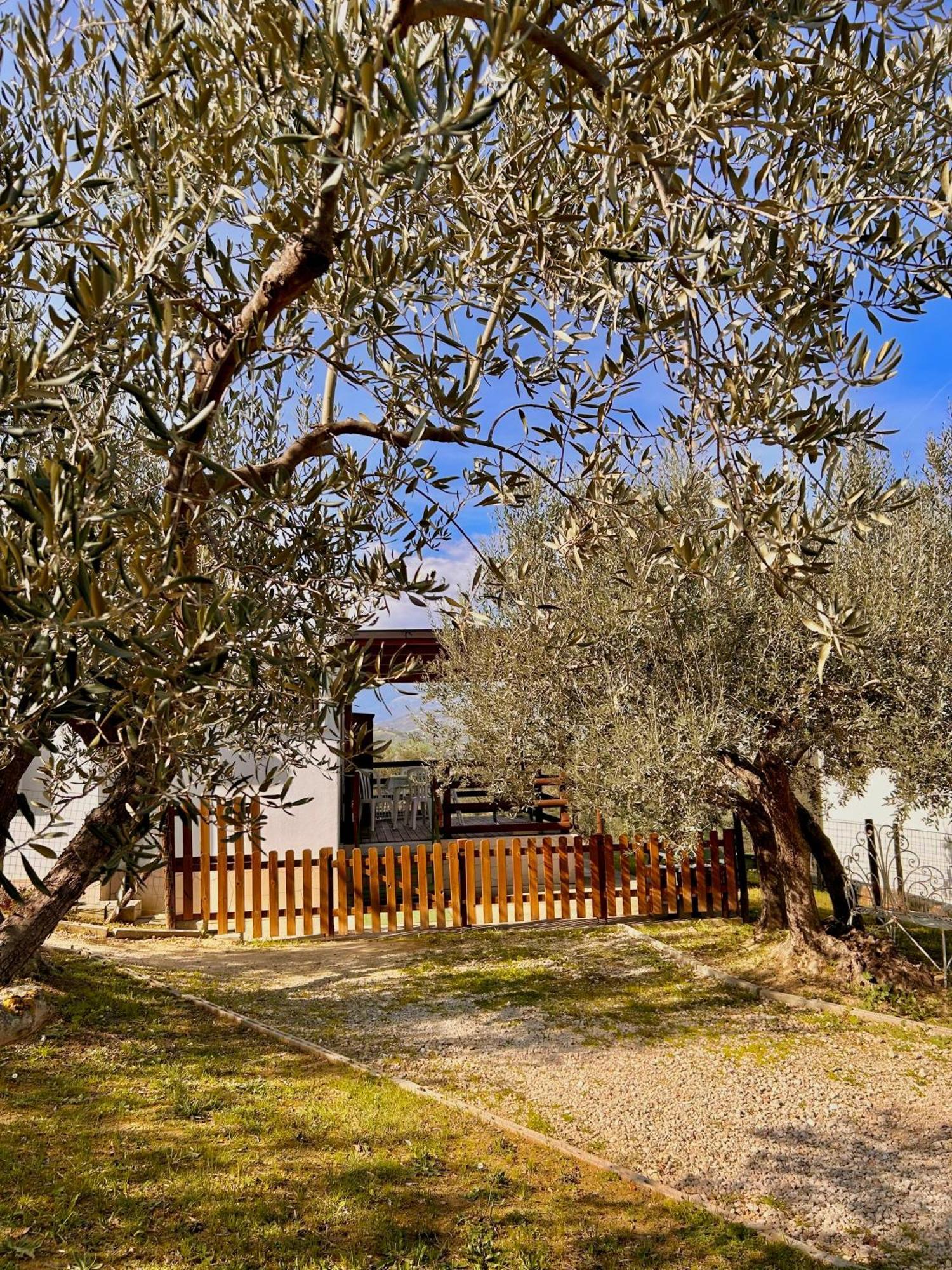 Oasi Macerina Villa Alanno Luaran gambar