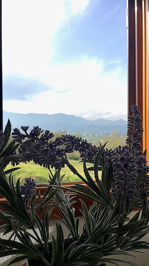 Oasi Macerina Villa Alanno Luaran gambar